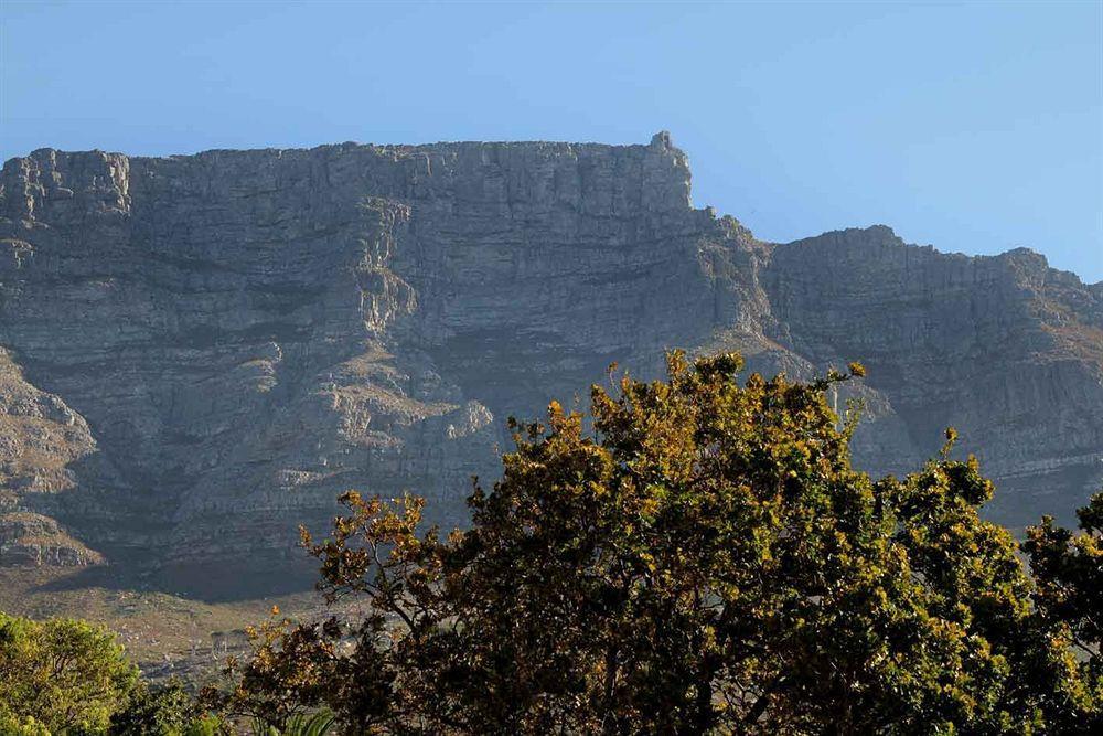 Three Boutique Hotel Kaapstad Buitenkant foto